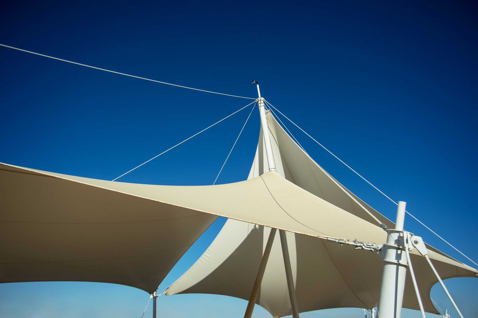 Tensile Architecture PVC Applications